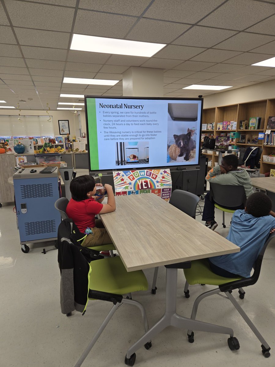 Stephanie Caesar tweet media