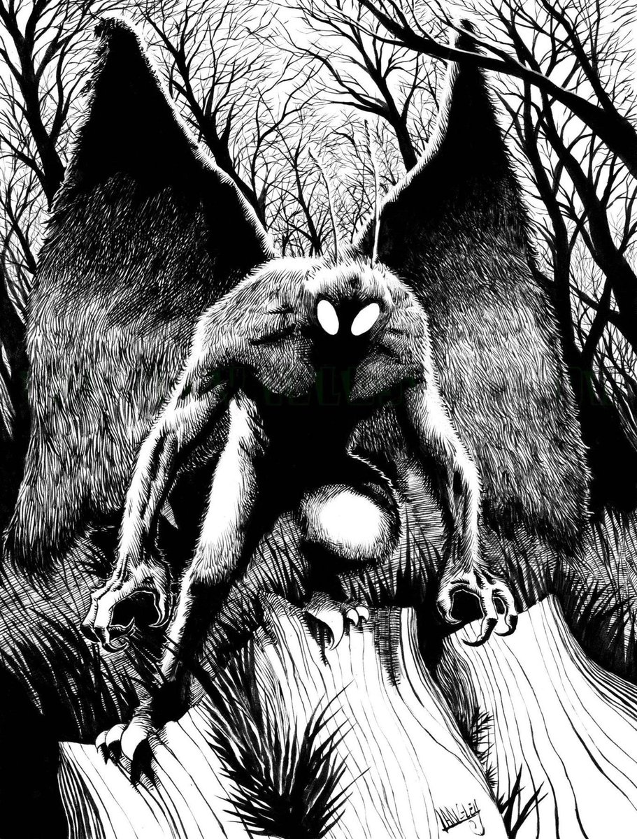 KillerAutomaton's tweet photo. The Mothman of Point Pleasant by Shawn Langley https://t.co/lTnr5Gqeuo https://t.co/anfZenQHGx