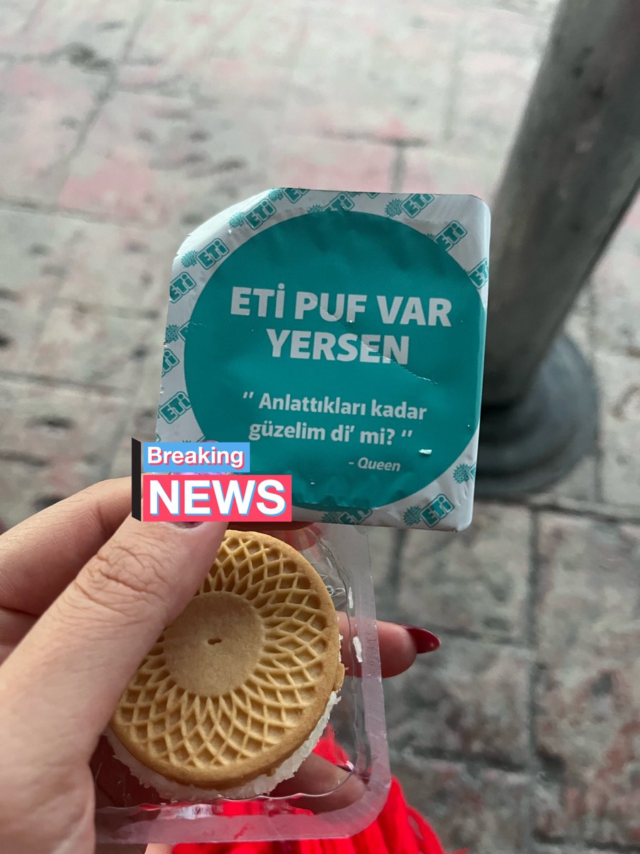 bu kagitlara sacma sacma alintilar yazmak kimin aklina geldi