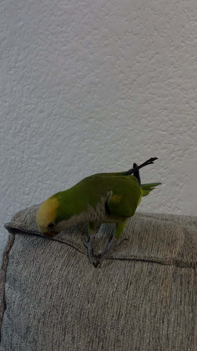 somos willo y yo contra el mundo 🫶🏽