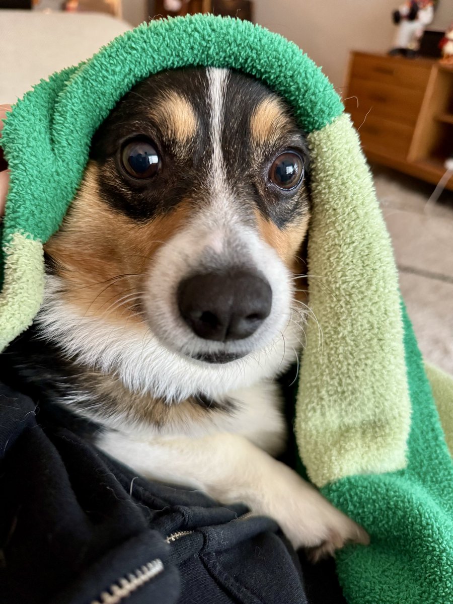 Cozy girl season 🍂🍁