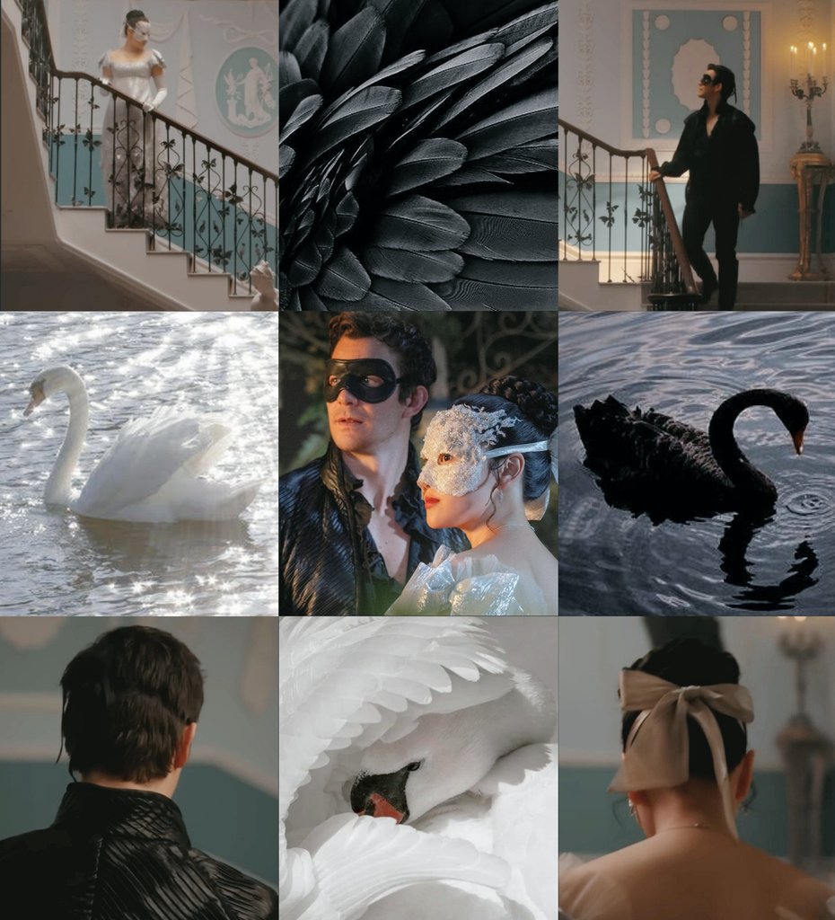 🖤🦢🩶