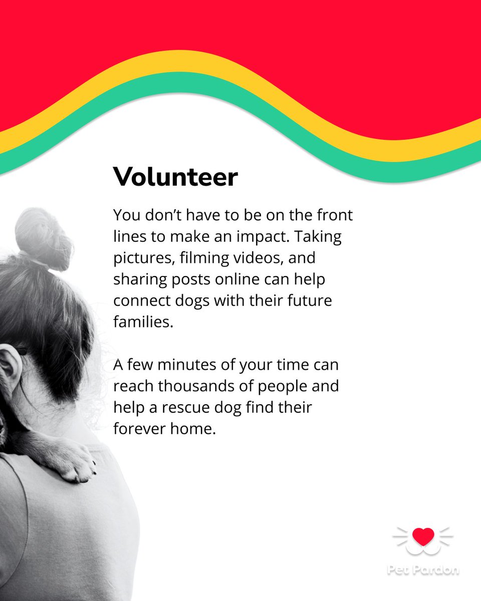 Why wait for $5 Friday? 🐾
Donate today — they can’t keep saving lives without our help!

If you can’t donate:
🐶 Foster – rescues cover all costs
🐶 Adopt – save a life &amp; gain a friend
🐶 Volunteer – share posts &amp; help dogs find homes ❤️

#RescueDogs