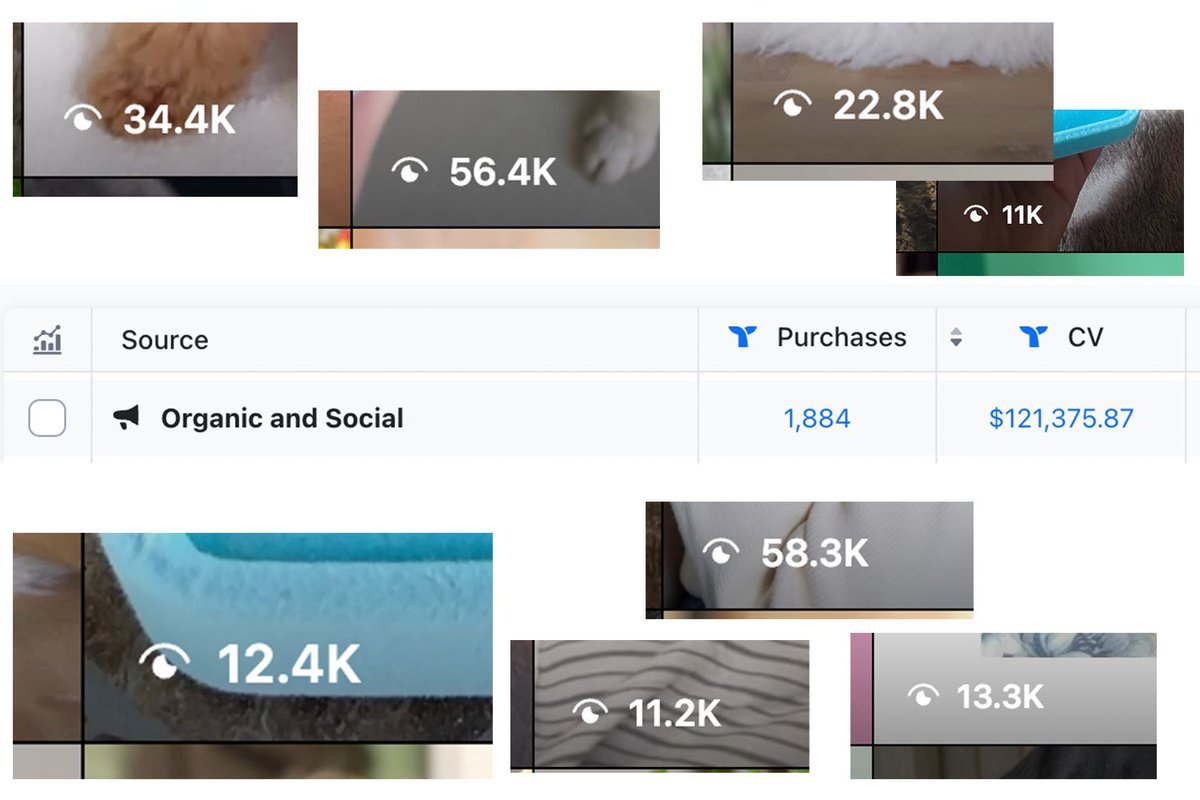 realAlexDJ's tweet image. How I added $121k+ in organic revenue during BFCM using micro influencers 👇

(costed me ~$12k in product &amp;amp; NO additional payment to creators)

A thread on the exact system: