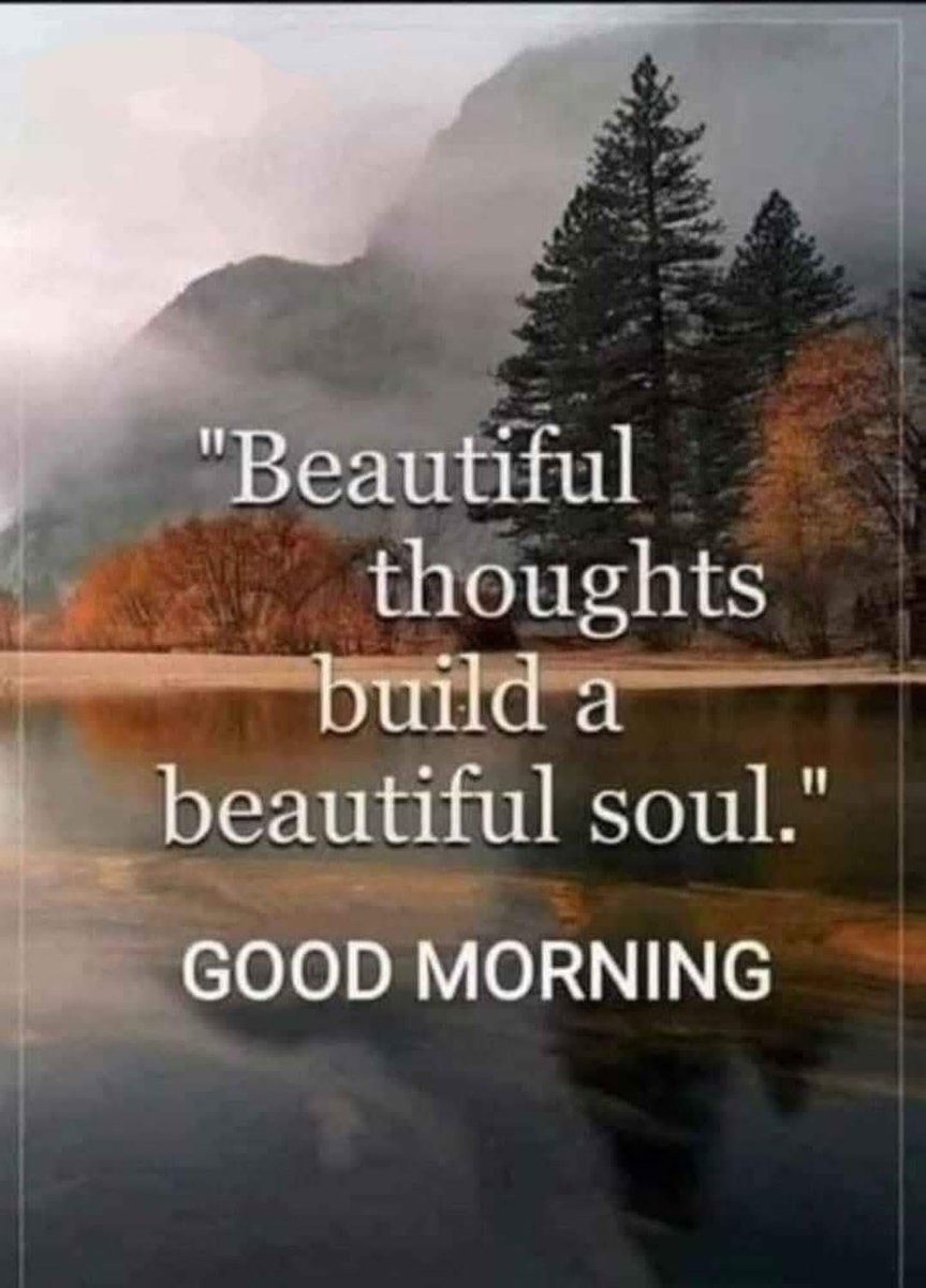 POSITIVITY (@positivitysaid) on Twitter photo 