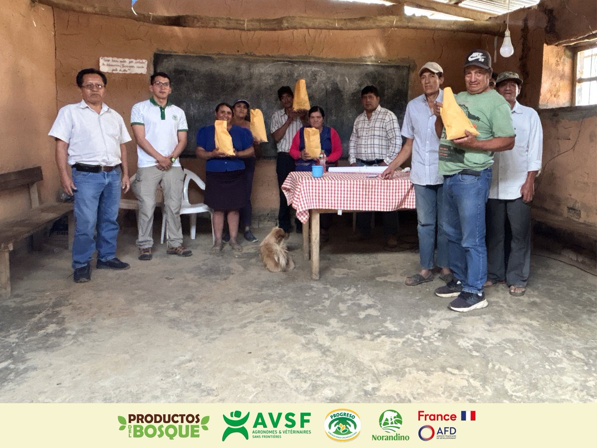 PROGRESO3's tweet image. Primeras Intervenciones del Proyecto en 𝗦𝗮𝗻 𝗠𝗮𝗿𝘁𝗶́𝗻 𝗱𝗲 𝗛𝘂𝗮𝗹𝗮 En el caserío San Martín de Huala, distrito de Frías (Ayabaca).
📍Proyecto Productos del Bosque, ejecutado por @PROGRESO3 , @CoopNorandino y @AVSFlatam, con el financiamiento de la @AFD_es