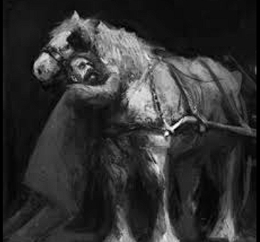 Niçe, babası öldüğünde değil, Wagner’le bozuştuğunda değil, Salomé tarafından reddedildiğinde değil, 
bir atı kırbaçlanırken gördüğünde çıldırmıştı. 
Kendi acını değil, başkasının acısını görebilmek 
ve o acıyı kendi acına yeğ kılmak.-alıntı-