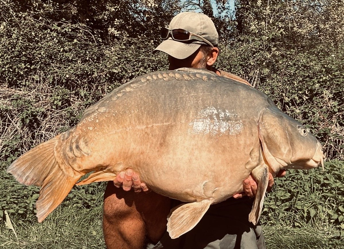 New PB @ 26kg!!!
🐝🐝🐝🐝🐝🐝
Still buzzing
#bigladinfrance 
#bigcarpculture