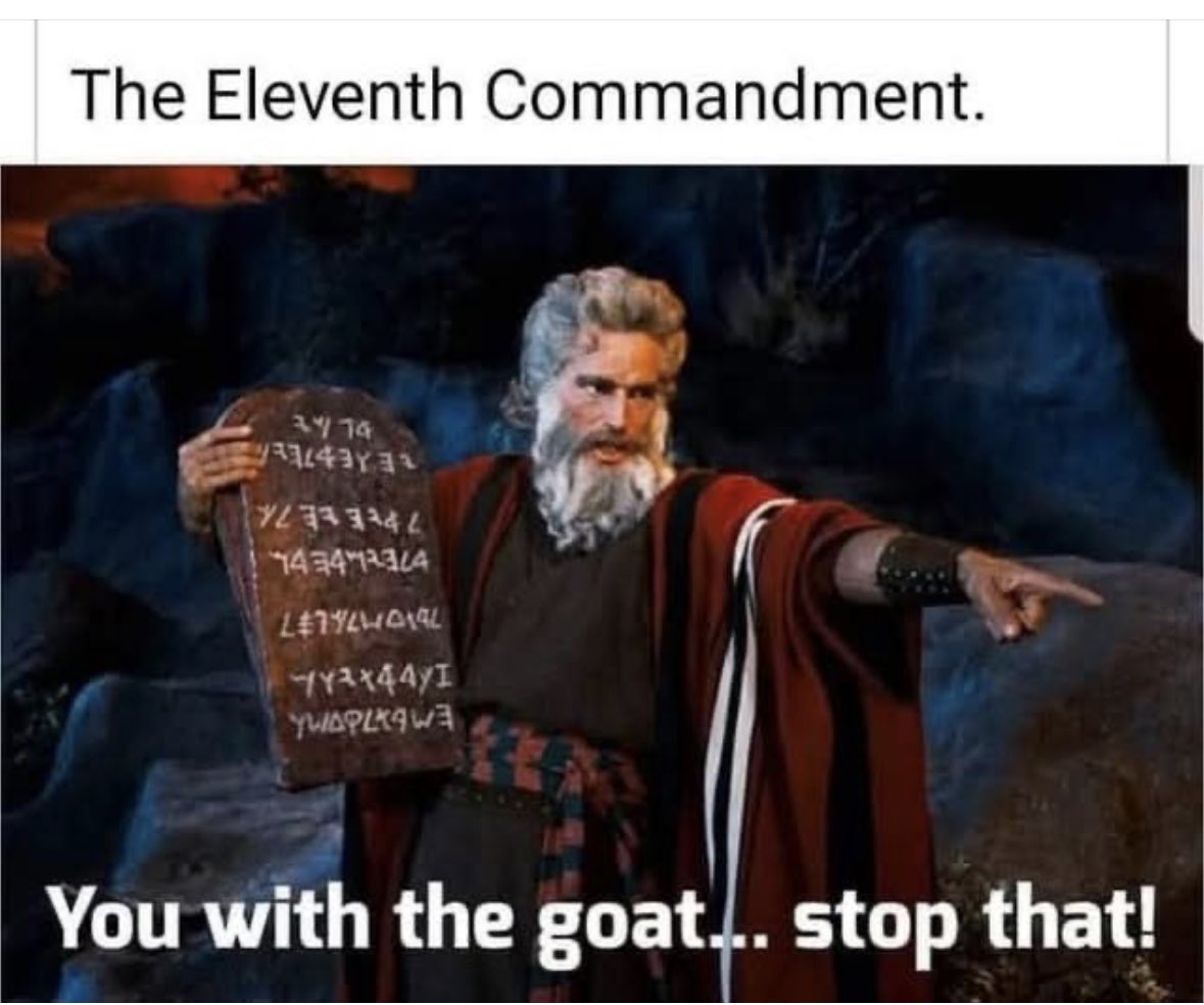 Prairie Putz (@putzisbackbaby) on Twitter photo 