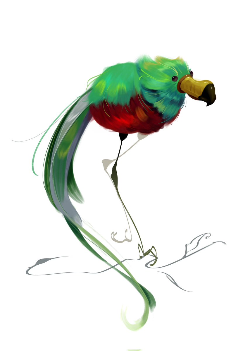 Cute bird 🐦