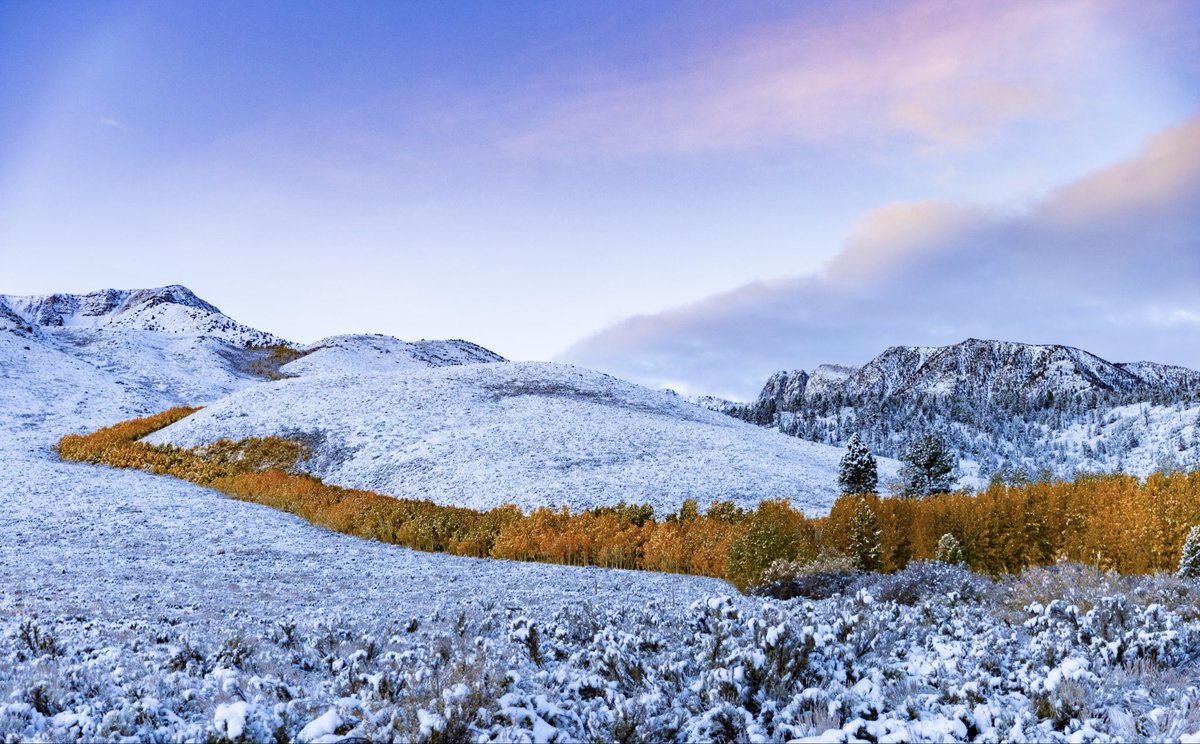 Californiaaaaa! Okayyyy. Eastern Sierra this morning!😍