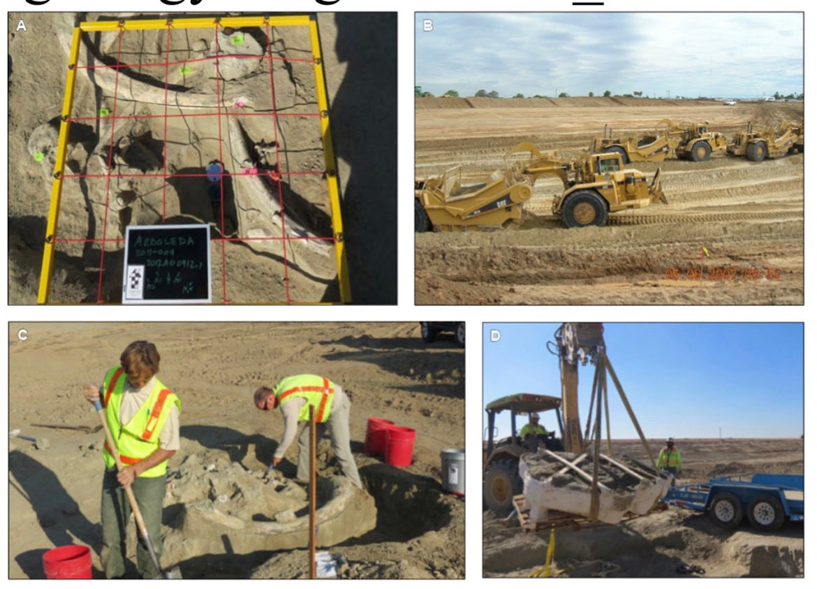 It’s National Fossil Day! Learn more about the work that the <a href="/cageosurvey/">California Geological Survey</a> has done with <a href="/CaltransHQ/">Caltrans HQ</a> mapping mineral hazards and paleontological resources along the state highway system. #EarthScienceWeek
conservation.ca.gov/cgs/documents/…
￼