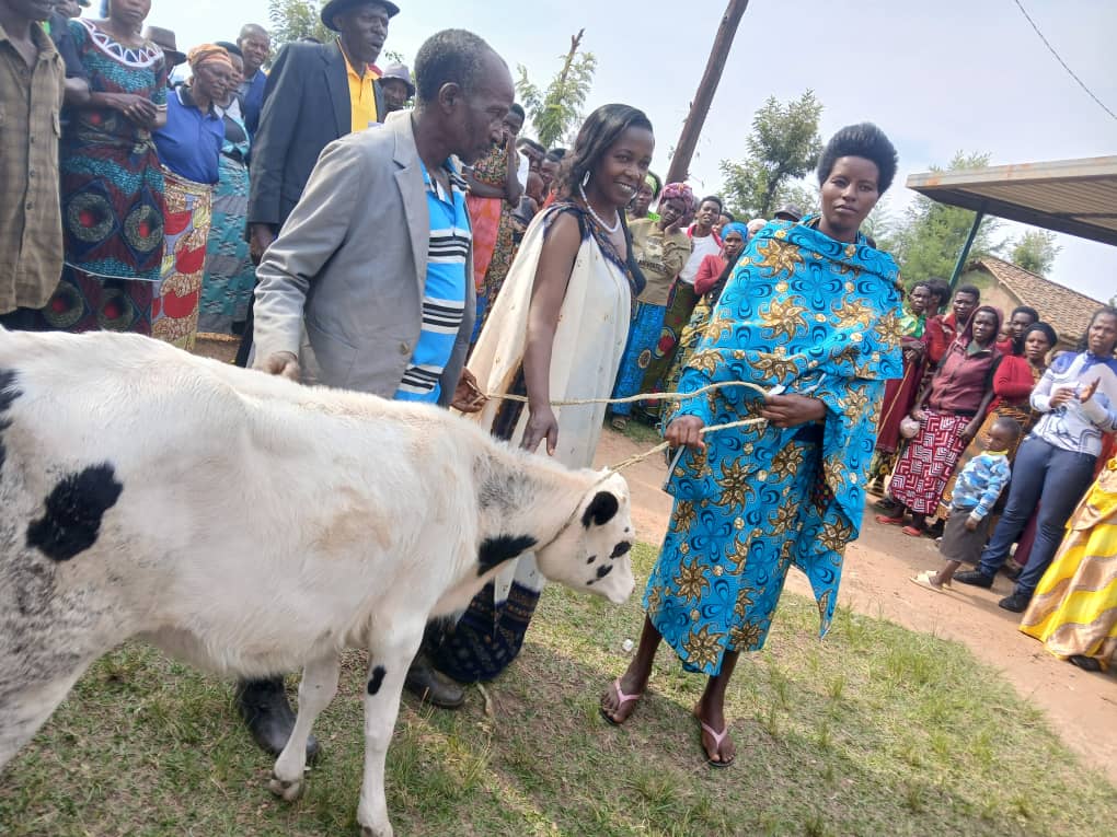 SAFE NGO tweet media