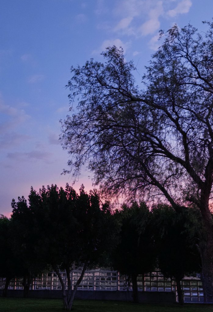 أمل (@luminusoul) on Twitter photo 