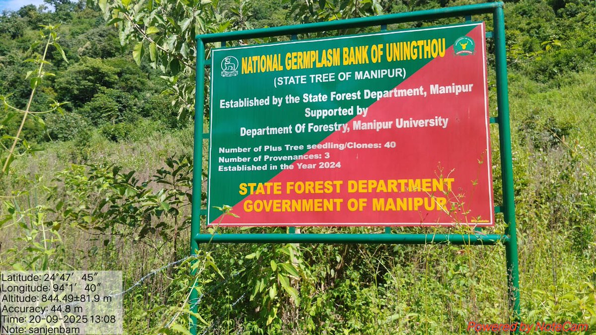 MU_Forestry's tweet image. Proud moment, contributing on conservation of #endemic #forest #genetic #resource of #Manipur.
Efforts are continued for enrichment of the germplasm bank...