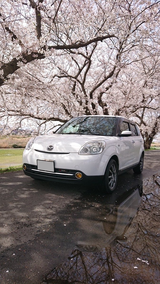 魁 KΔI (老師) tweet media
