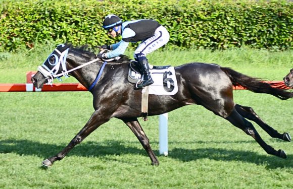 Patrick Star gibi birçok başarılı ismin sahibi “Sağun Ekürisi”, antrenörlük için Ömer-Murat Alaçam ikilisiyle anlaşmıştır, hayırlı uğurlu olsun 🙏 <a href="/AhmetSagun44/">Ahmet Sağun</a> <a href="/kayhanozcann/">Kayhan Ozcan ®</a> <a href="/omeralacam_/">Ömer Alaçam</a> <a href="/muratalacam_/">Murat Alaçam</a>