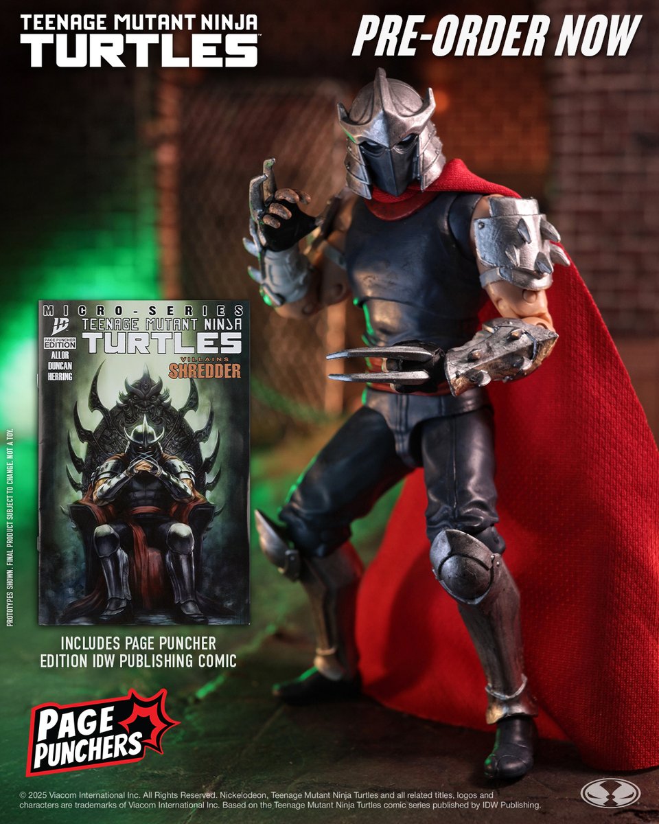 額装TIDE Mutant Ninja Turtles いでたつひろ 真作 TIDEとTeenage