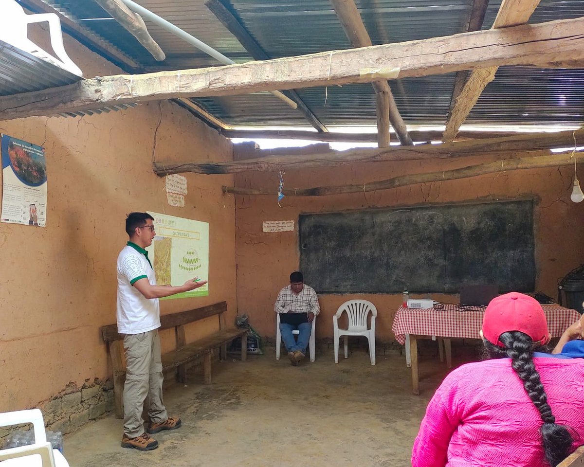 PROGRESO3's tweet image. Primeras Intervenciones del Proyecto en 𝗦𝗮𝗻 𝗠𝗮𝗿𝘁𝗶́𝗻 𝗱𝗲 𝗛𝘂𝗮𝗹𝗮 En el caserío San Martín de Huala, distrito de Frías (Ayabaca).
📍Proyecto Productos del Bosque, ejecutado por @PROGRESO3 , @CoopNorandino y @AVSFlatam, con el financiamiento de la @AFD_es