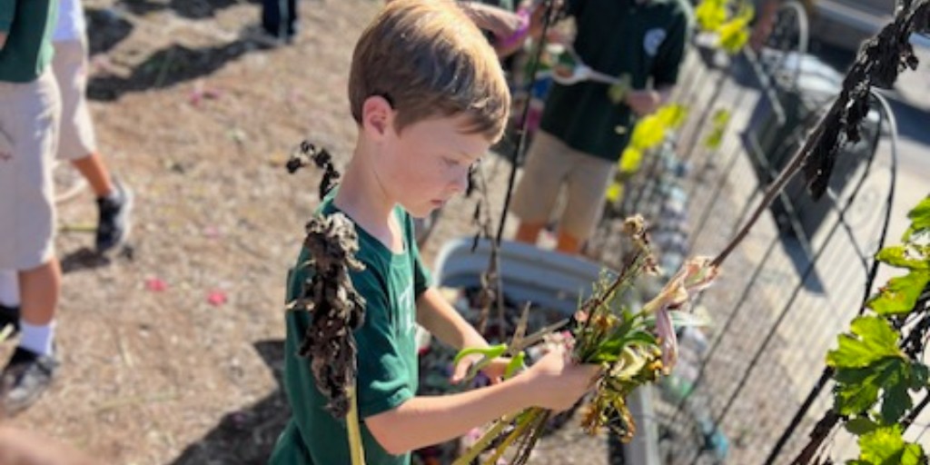 St_Therese_SD's tweet image. On October 8th, our second grade enjoyed an afternoon working in our school garden, learning about plants and teamwork! 🌱✨ #SchoolGarden #LearningFun