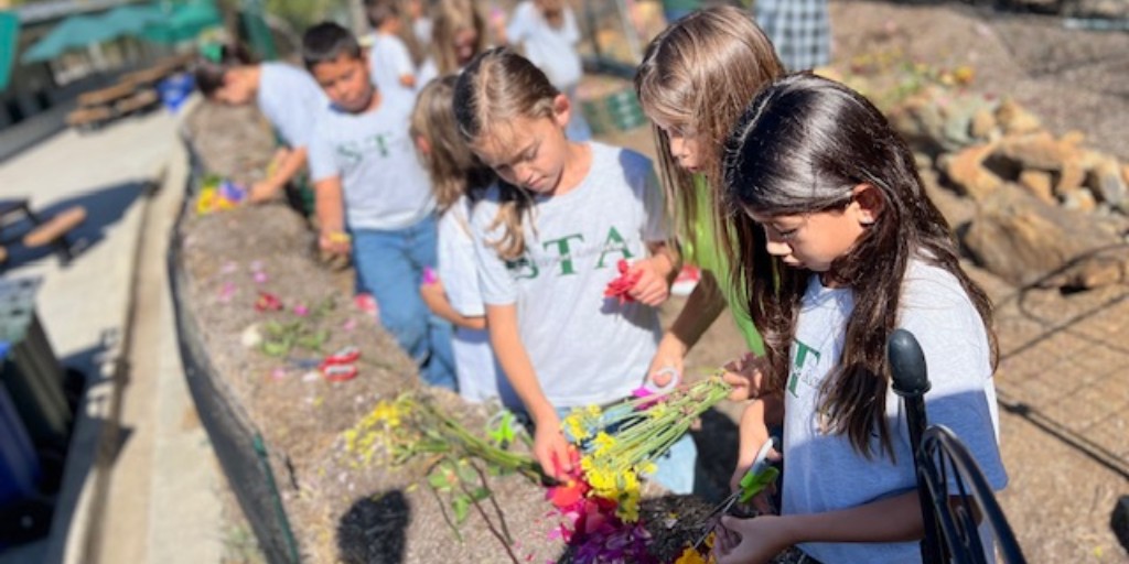 St_Therese_SD's tweet image. On October 8th, our second grade enjoyed an afternoon working in our school garden, learning about plants and teamwork! 🌱✨ #SchoolGarden #LearningFun