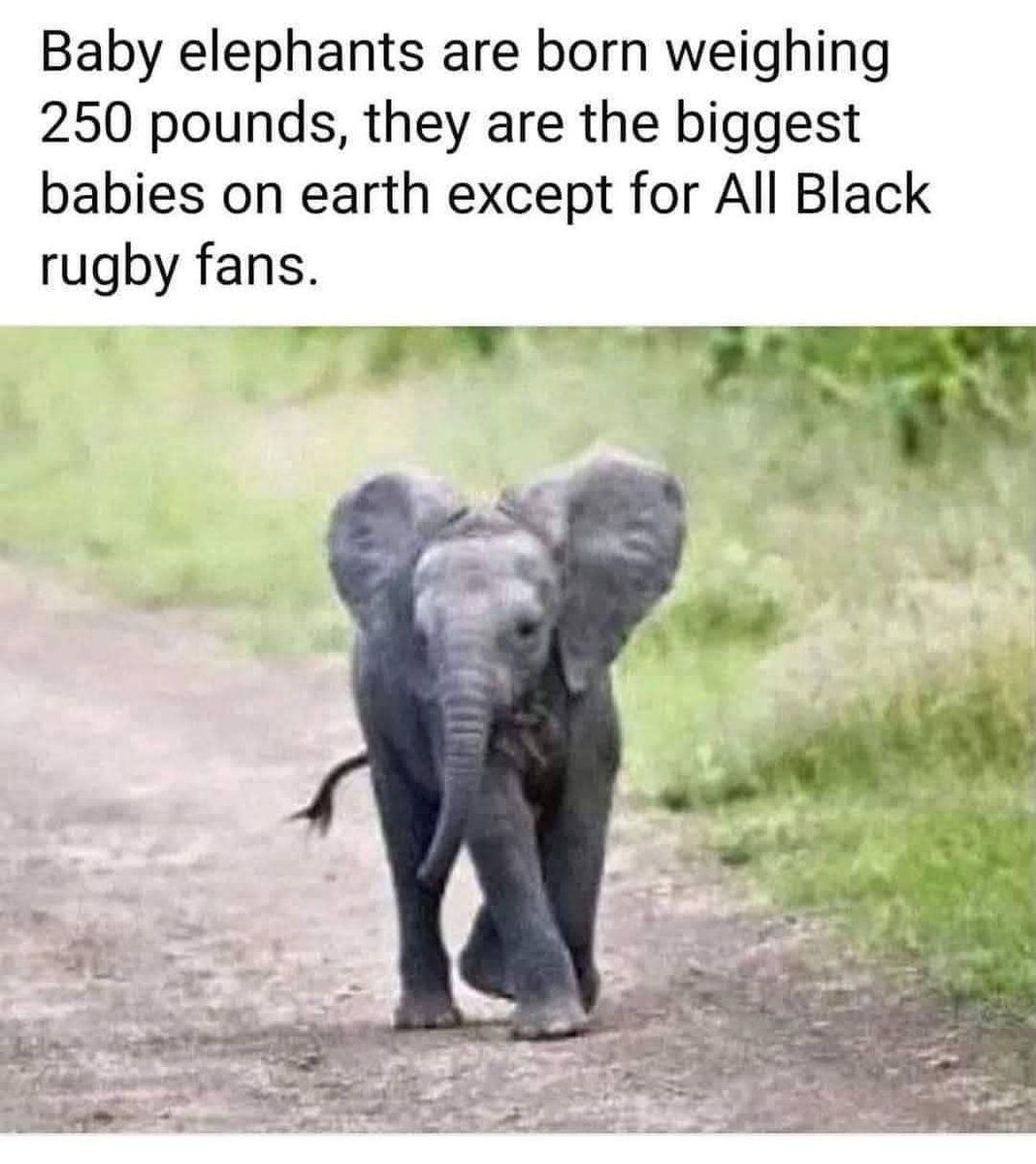 Ken Brown tweet media