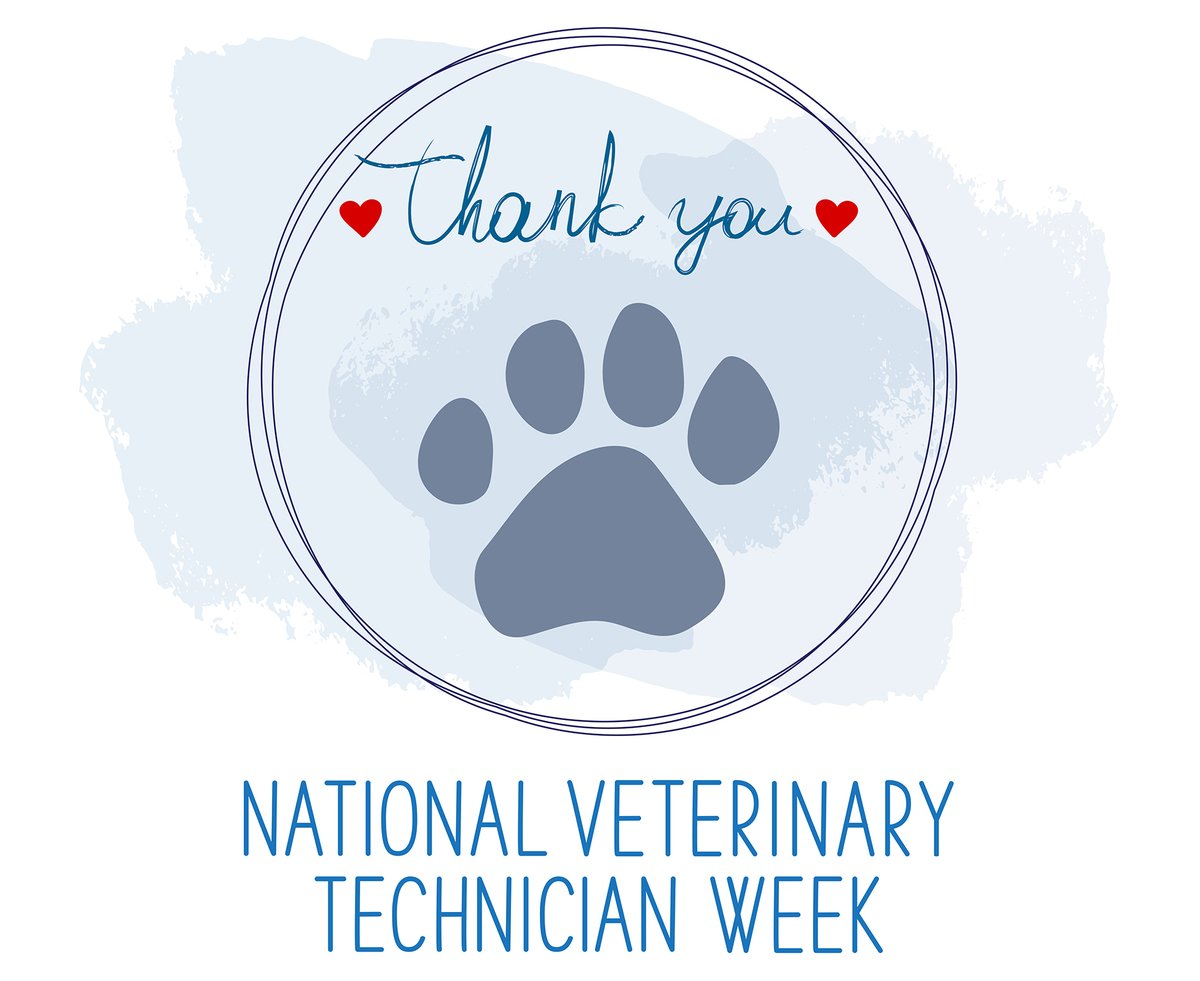 Veterinary technicians play an essential role in supporting the health and well-being of our pets. Your expertise ensures that animals receive compassionate care, and your dedication brings peace of mind to families every day. 
Thank you! 
#veterinarytechnicians #LVT #RVT #CVT