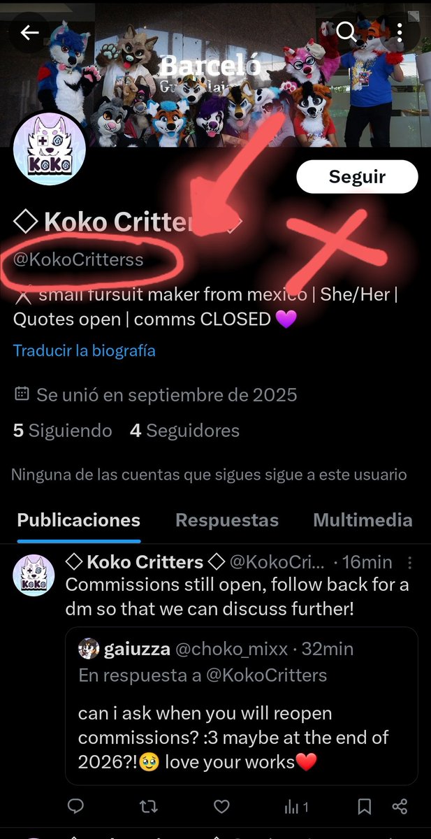 BEWARE!!!!! ⚠️⚠️⚠️ 
This accounts aren't mine! Please share so people don't get scammed. My account doesn't have double ss at the end or crittArs,  Just "KokoCritters" !!!