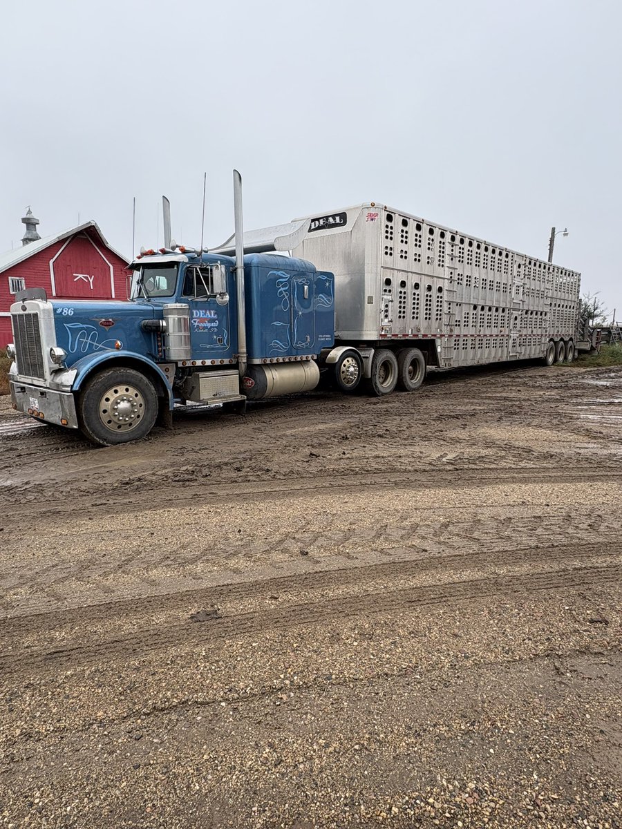 silagechopper's tweet photo. When you’re scraping the bottom of the barrel for truckers….. https://t.co/lPw8ZAxTBE