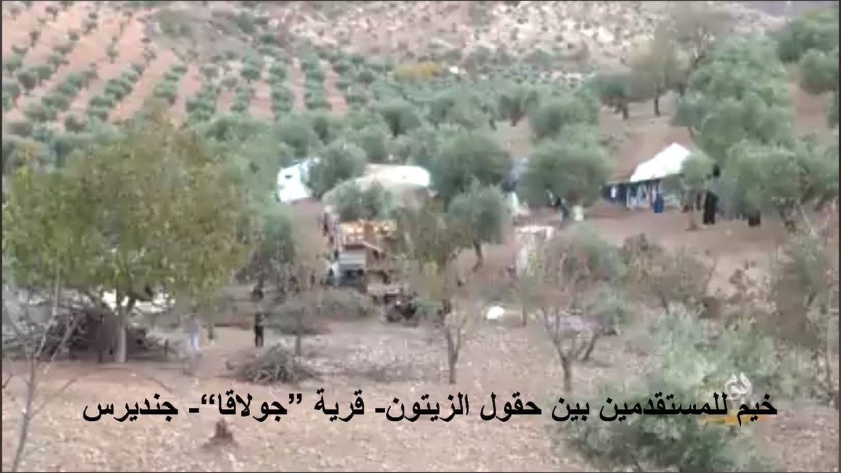 ♦️Efrin’de Zeytin Sezonunda Yağma ve Mülk Gaspları Yeniden Başladı

♦️ Bölgedeki çeteler, aileleriyle birlikte daha önce ayrıldıklarını iddia ettikleri #Efrin’e geri dönerek işgal altındaki köylerde ve tarım arazilerinde zeytin hasadını yeniden yağmalamaya başladı.

♦️Yerel