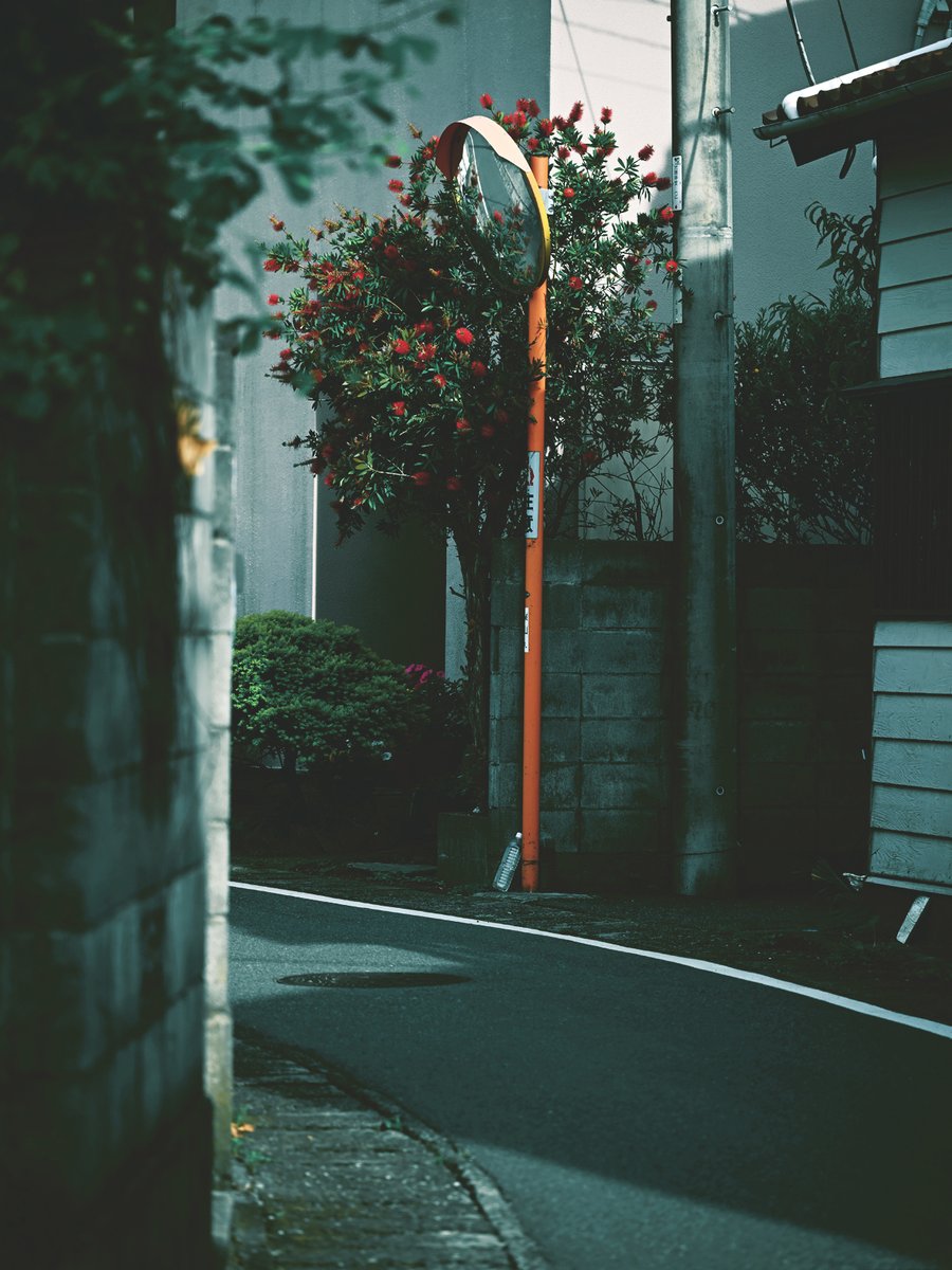 海邨 / kaison (@kaisontoshashin) on Twitter photo 