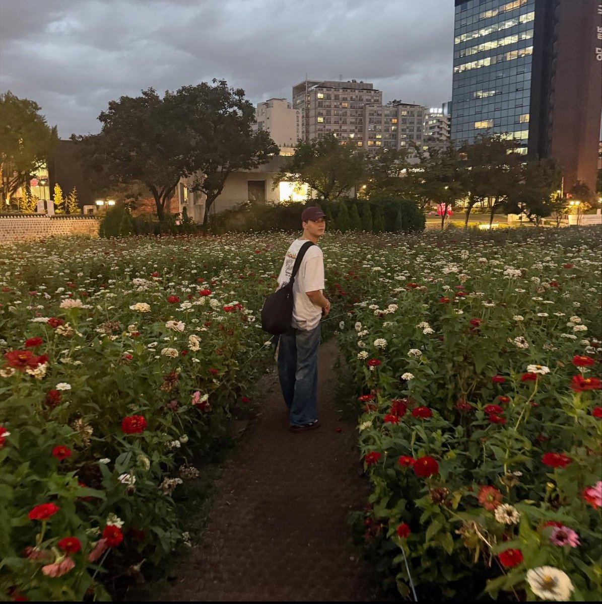 Joanna12021's tweet image. My fav flower boi 🌺
#janniarycontent