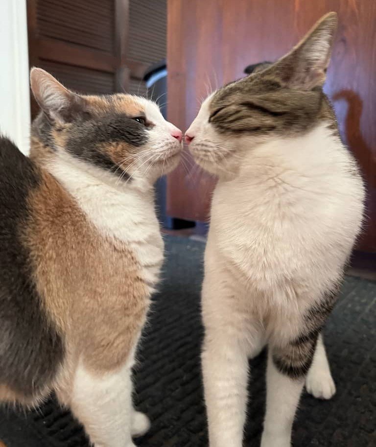 guy up in my fase !!!