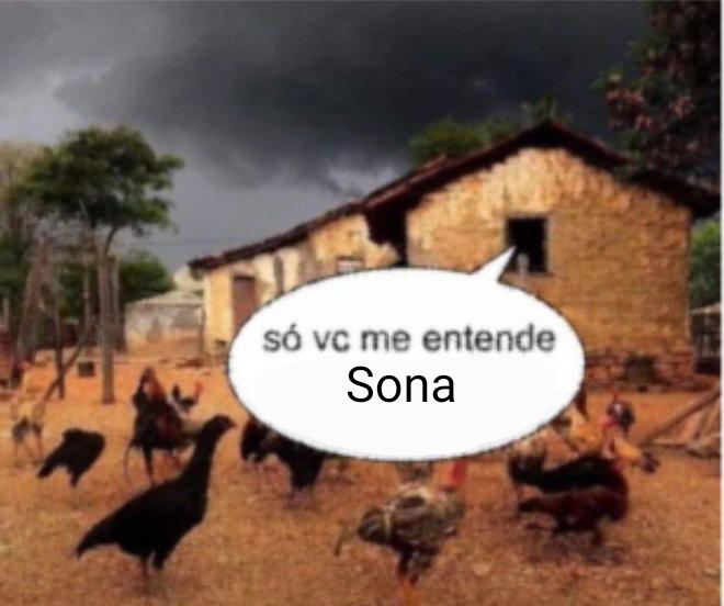 Sonacervo tweet media