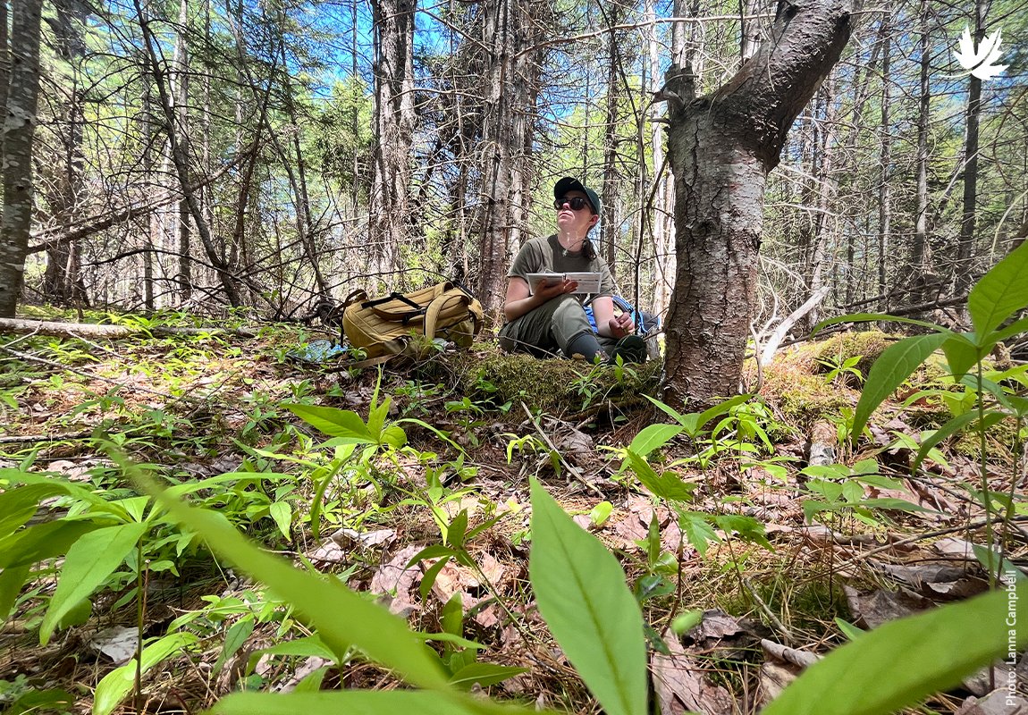 NCC_CNC's tweet photo. NCC &amp; partners are protecting 202 hectares of intact Wabanaki (Acadian) forest and wetland habitat at Kiwto’qitek (Point Pleasant) - safeguarding coastal habitats, supporting recreation, and keeping communities safer from storms and erosion. https://t.co/GmIGaQrpOU @environmentca https://t.co/Ja22oX7nWB