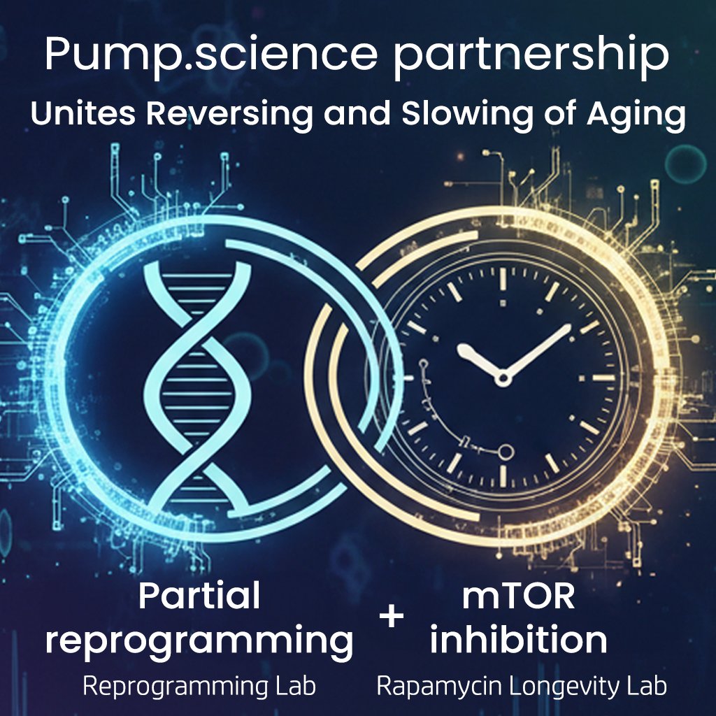 KristerKauppi's tweet image. It all started one night when I woke up with the realization that we needed to establish a partnership with the Reprogramming Lab (@ReprogLab), a cutting‑edge stealth biotech startup. The potential of combining interventions that both reverse and slow aging is too important to…