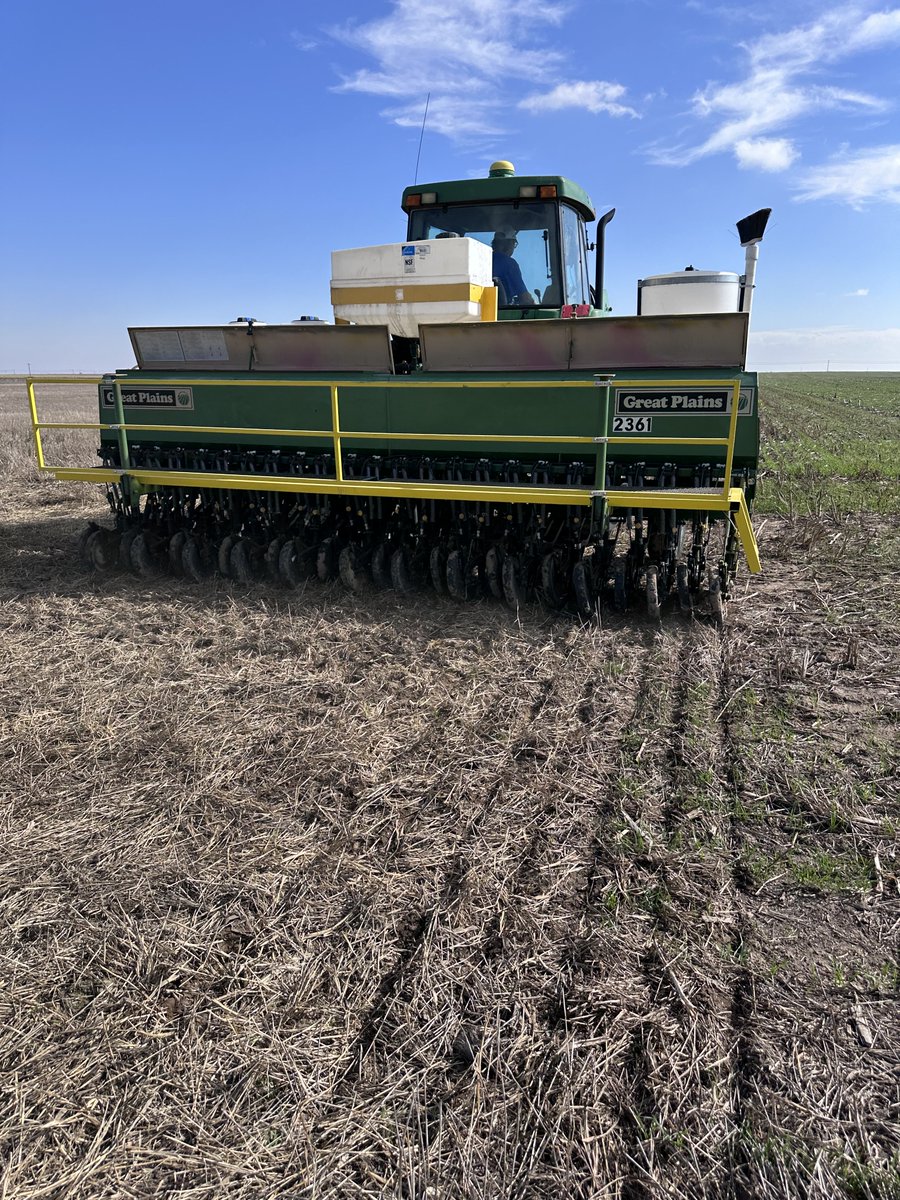 Planting a plot of winter camelina and then one of winter peas. Testing new ideas. 2nd year of planting. Dry conditions last fall so poor fall stand. This year great soil conditions so will be excited to see. ⁦<a href="/FVCoop/">FrenchmanValleyCoop</a>⁩ Will not be harvested but will leave an area not corn