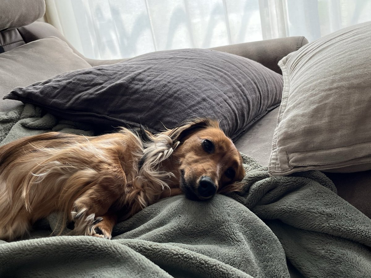 ﾔﾏﾀﾞ tweet media