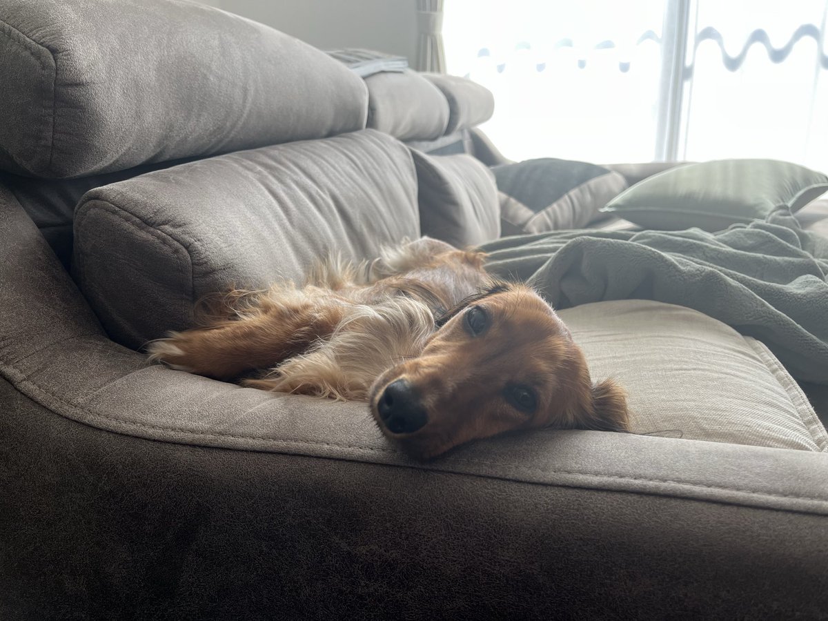 ﾔﾏﾀﾞ tweet media