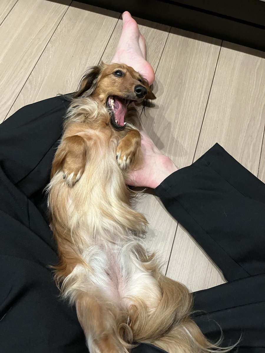 ﾔﾏﾀﾞ tweet media