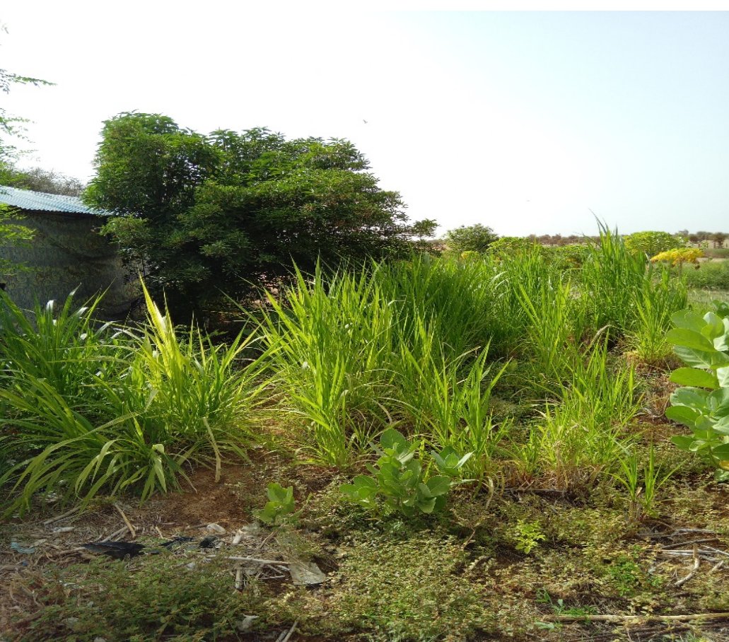 Ruralities52's tweet photo. 🌍 RURALITIES in Brakna, Mauritania
In August 2025, the University of Nouakchott met with women-led cooperatives in agriculture, processing, and crafts to explore Living Lab potential for the RURALITIES project. Stay tuned for their inspiring stories!
🔗 https://t.co/CUsLiAlrEp https://t.co/iQjv26TVPe