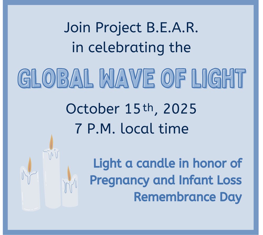 Project BEAR 🧸 tweet media