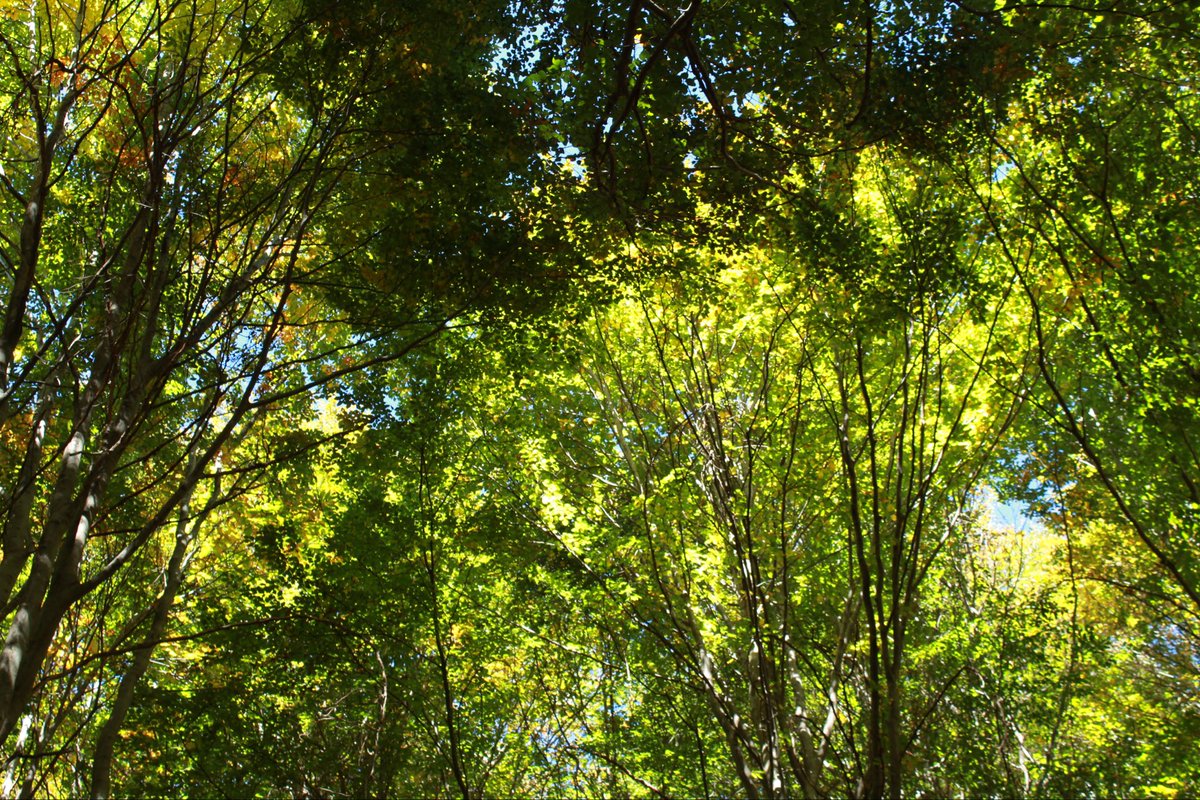 giuls ✮⋆˙ tweet media