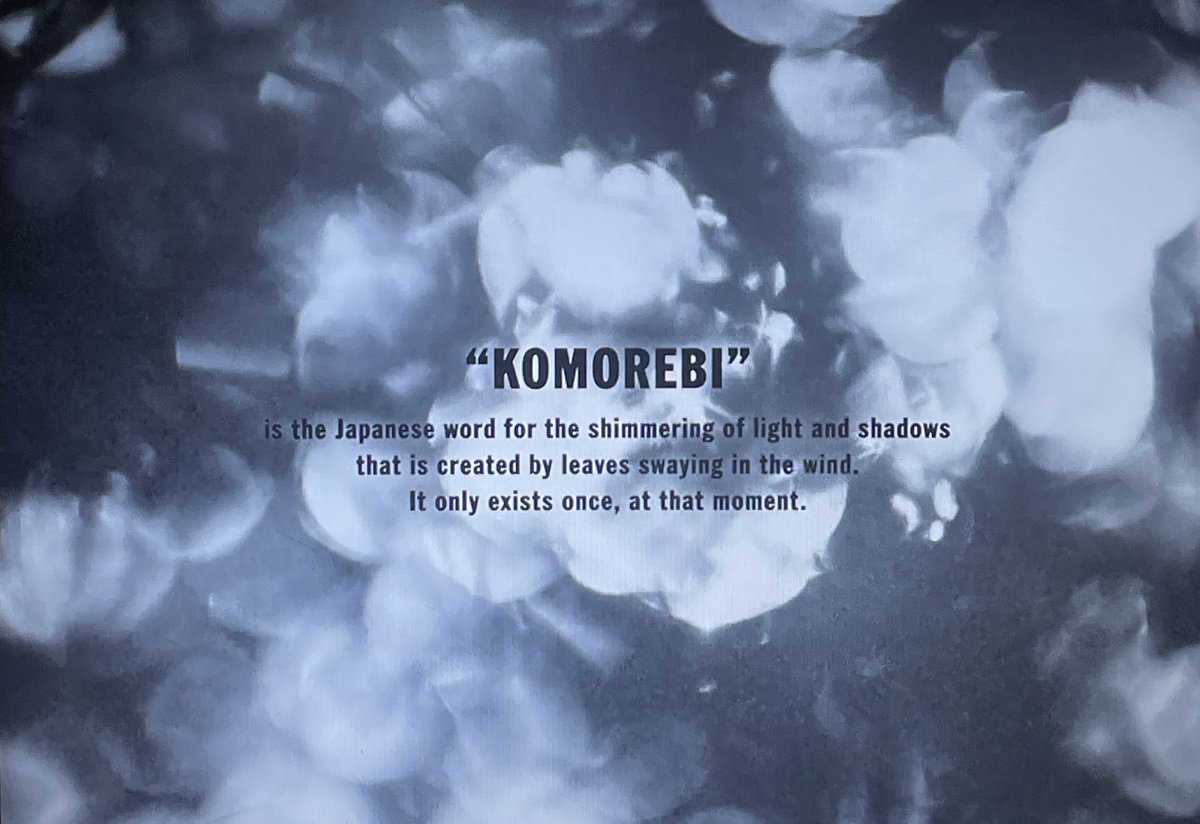 giuls ✮⋆˙ tweet media