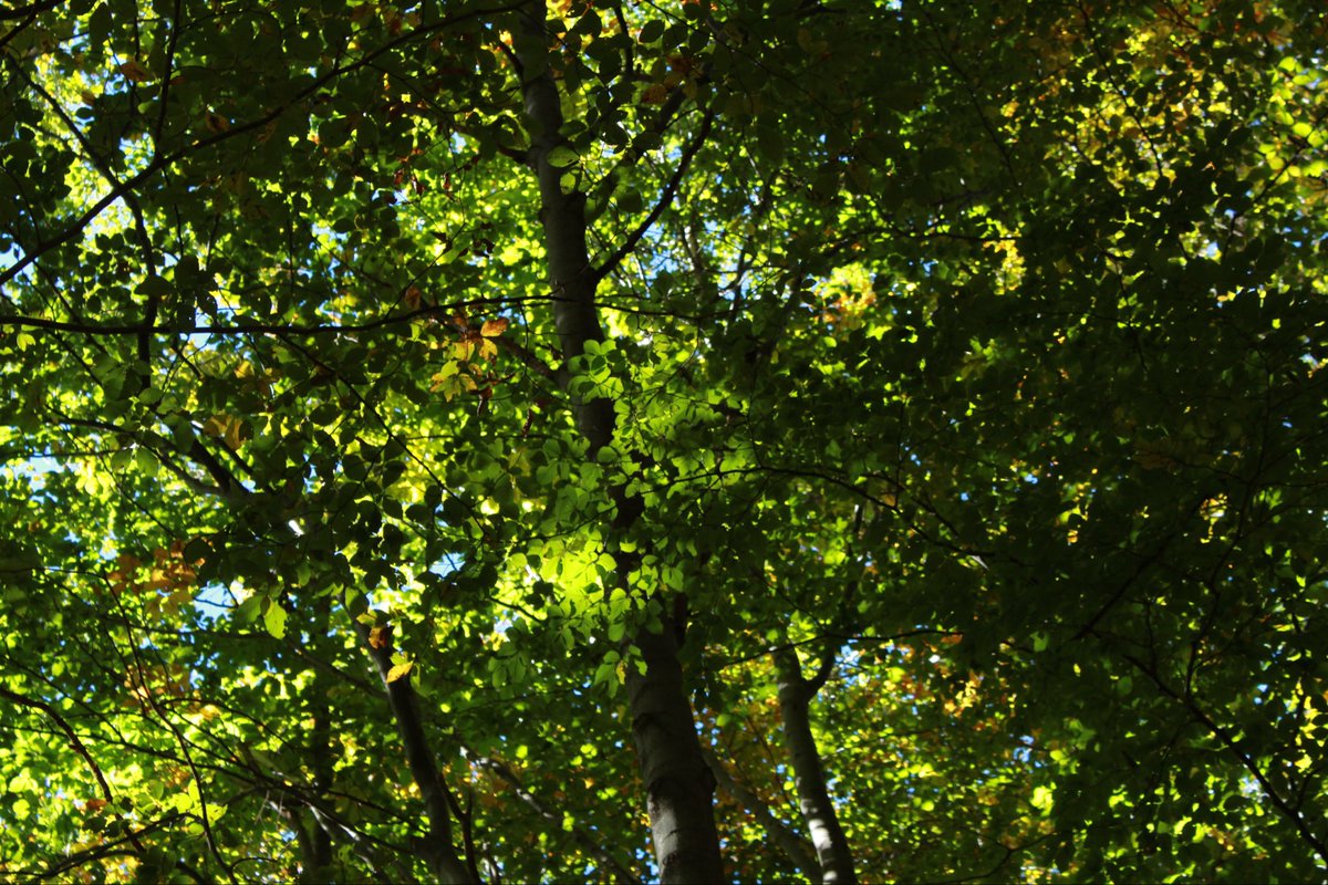 giuls ✮⋆˙ tweet media