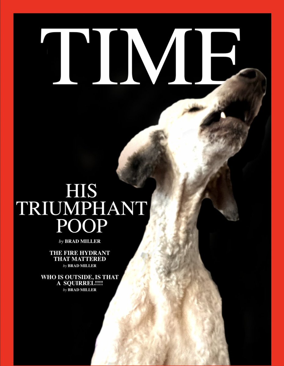 I think my dog Sherlock is the best and should be on the cover of <a href="/TIME/">TIME</a> magazine. He's got the neck for it.

With thrilling pieces on his most triumphant poop, and the fire hydrant that mattered. My favorite, Who is outside, is that a squirrel!

#dogs