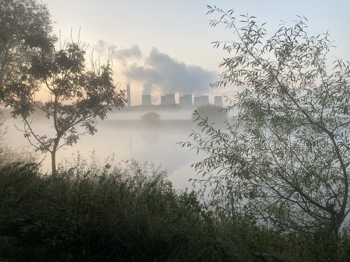 Wendy Douglas tweet media