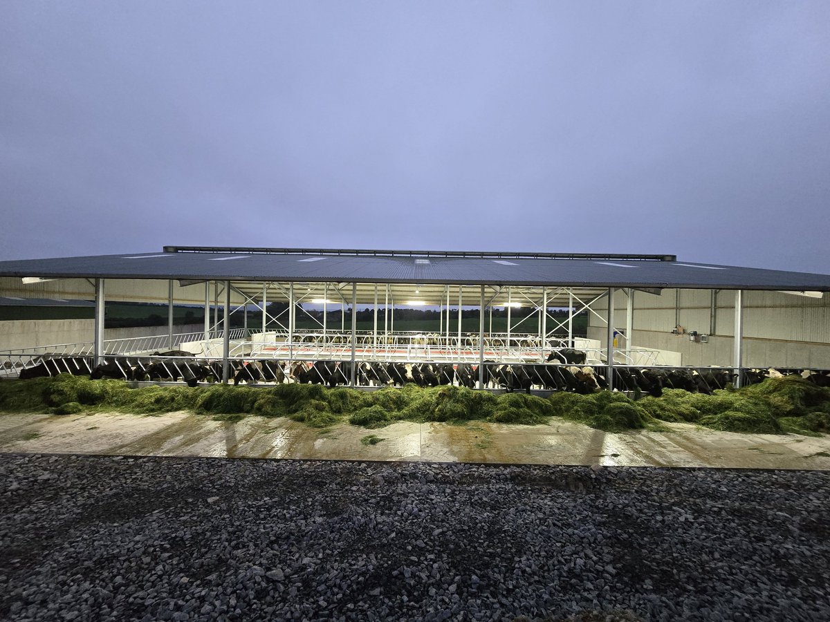 Happy out in their new digs