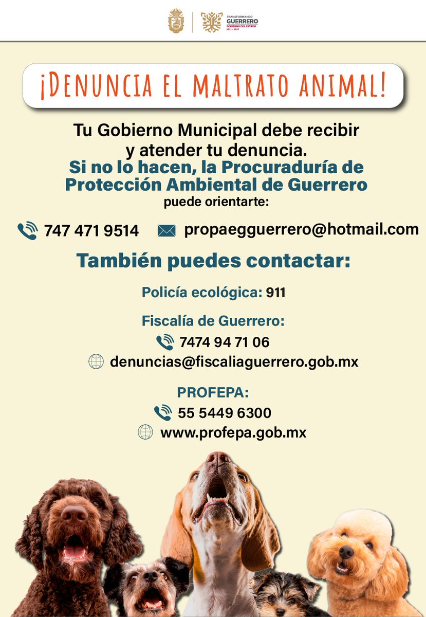 El maltrato animal es un delito 🚫🐾 que atenta contra la vida y la dignidad de los seres vivos. Comprometámonos juntos a denunciar y erradicar cualquier acto de violencia hacia los animales. 🤝🐶🐱