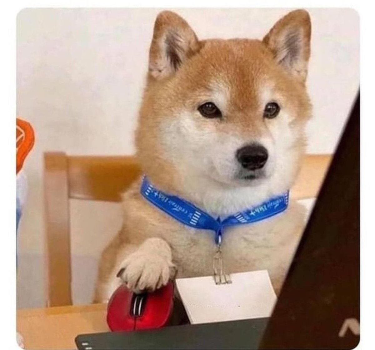 El juez: ¿Cómo va el judicante con esos fallos de tutela?

El judicante: Esta judicatura paga está interesante, pero queda en un pueblito lejano... Buscaré otra... Oh, esta me sirve. *Enviar hoja de vida*.